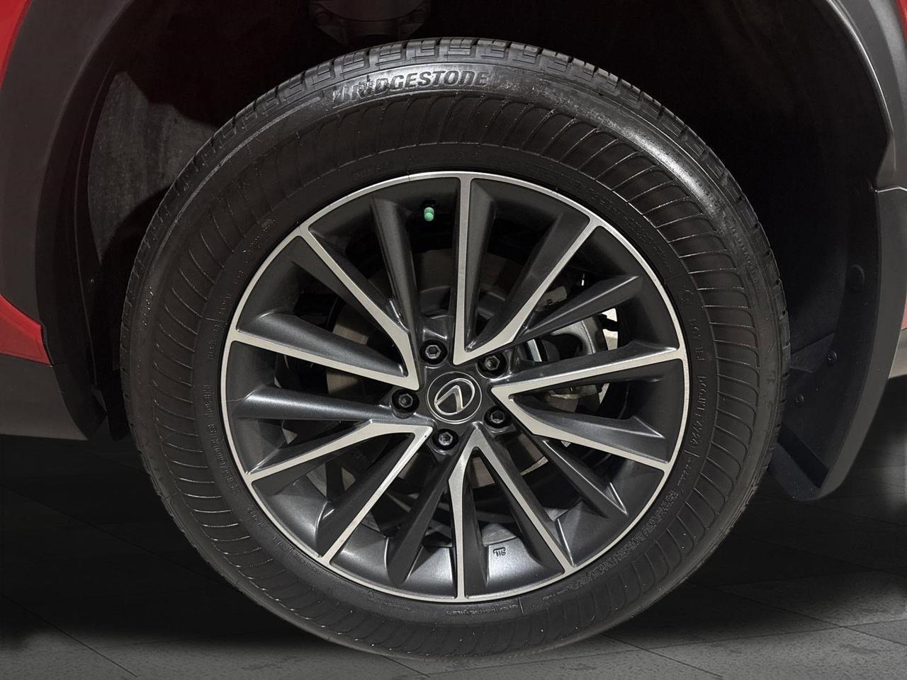 2025 Lexus NX 350h Luxury San Antonio TX