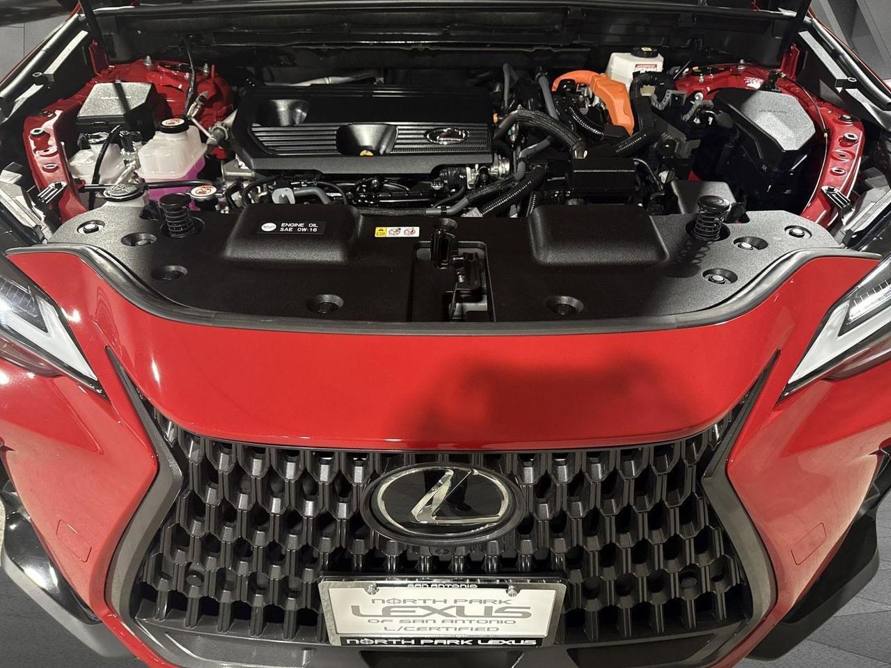 2025 Lexus NX 350h Luxury San Antonio TX