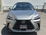 2025 Lexus NX 350h Luxury San Diego County CA