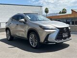 2025 Lexus NX 350h Luxury San Diego County CA