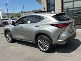 2025 Lexus NX 350h Luxury San Diego County CA