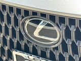 2025 Lexus NX 350h Luxury San Diego County CA