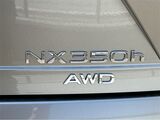 2025 Lexus NX 350h Luxury San Diego County CA