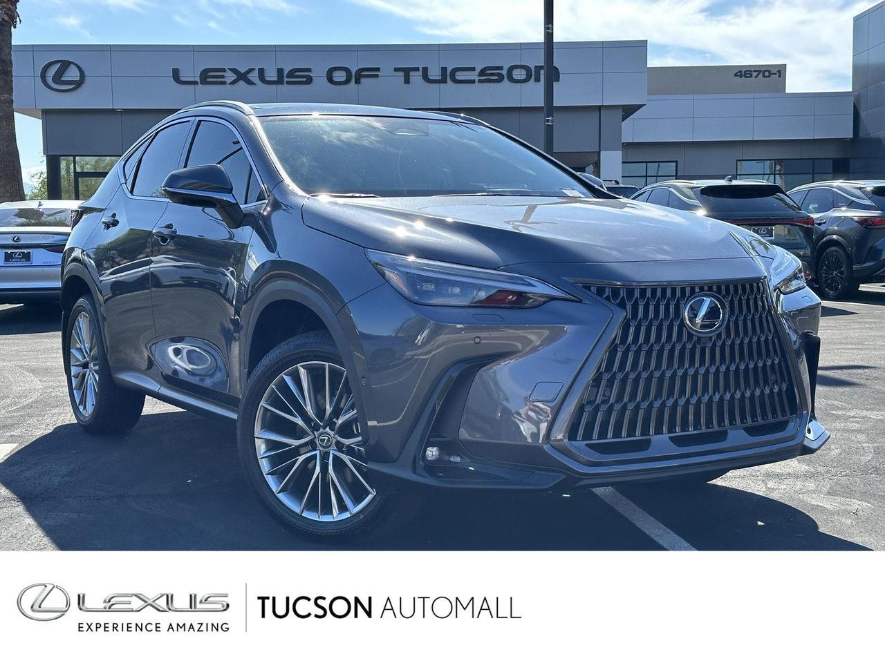 2025 Lexus NX 350h Luxury Tucson AZ