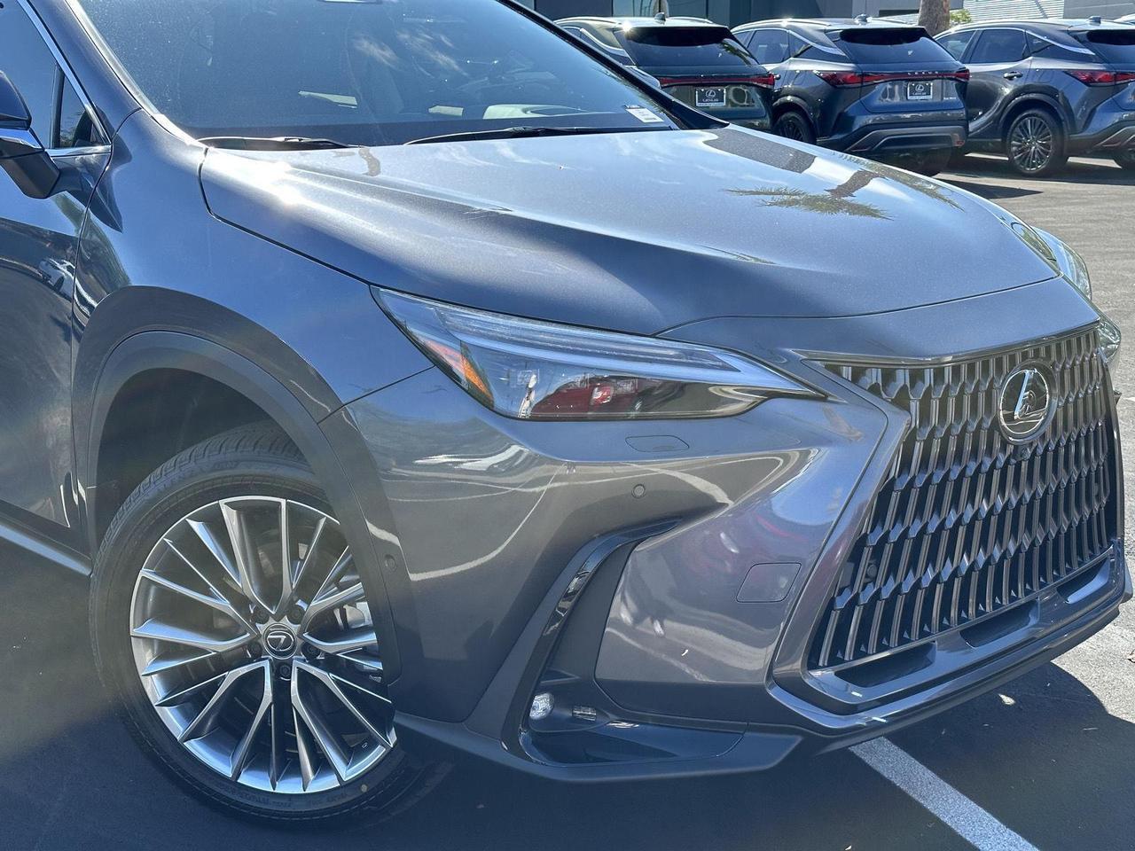 2025 Lexus NX 350h Luxury Tucson AZ