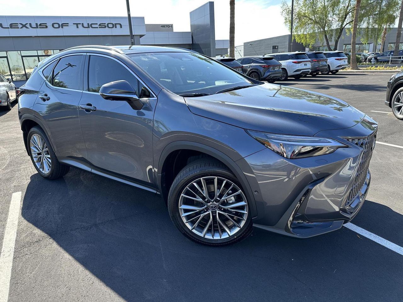 2025 Lexus NX 350h Luxury Tucson AZ