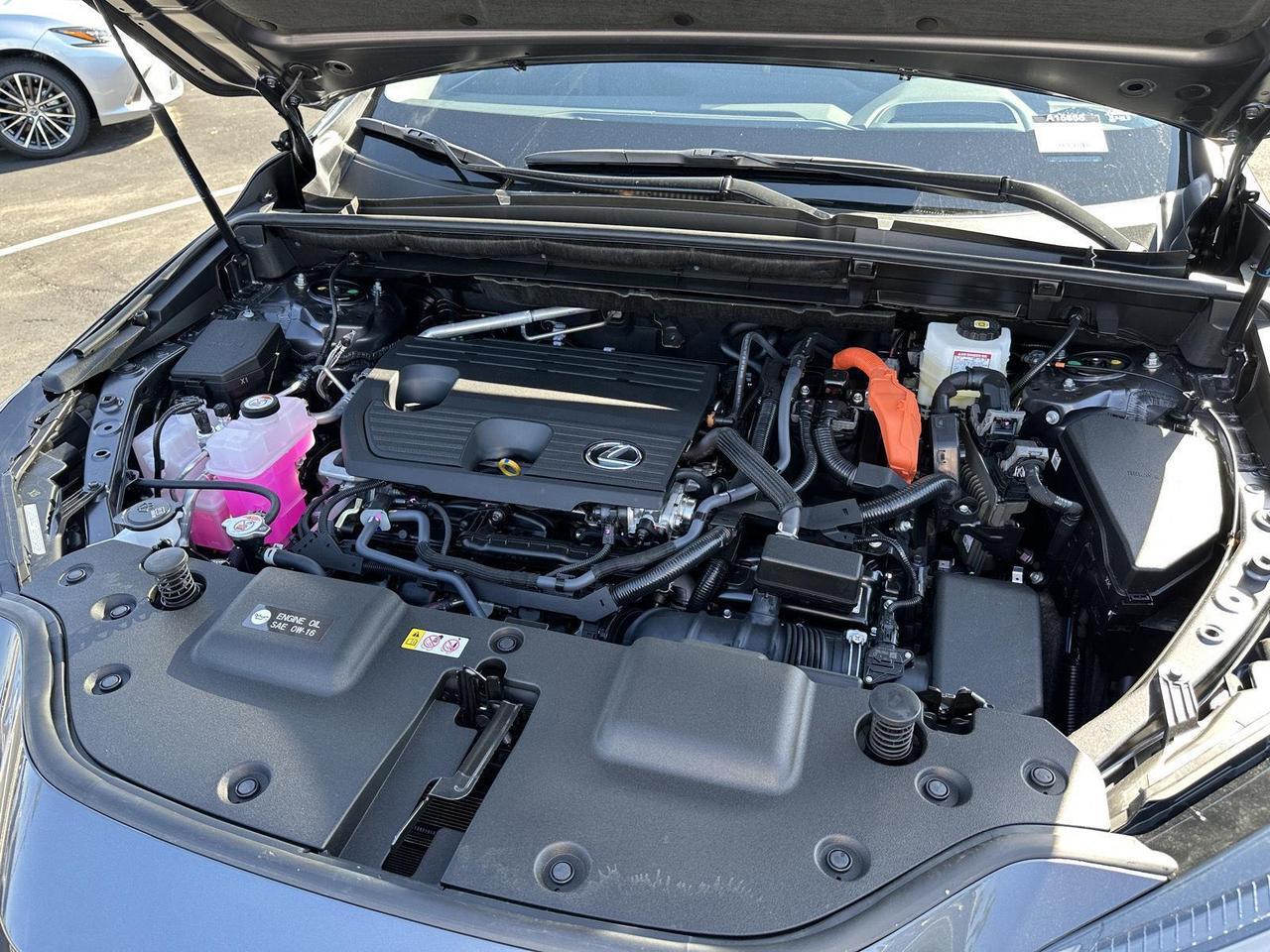 2025 Lexus NX 350h Luxury Tucson AZ