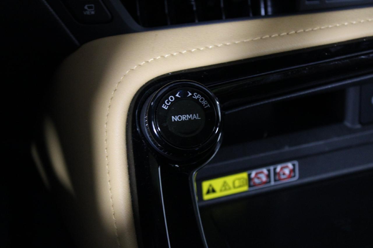 2025 Lexus NX 350h Luxury Manassas VA