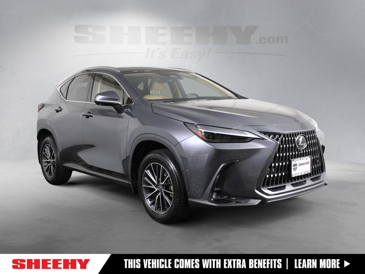 2025 Lexus NX 350h Luxury