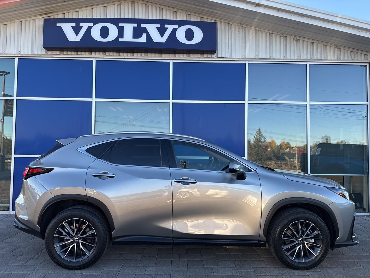 2025 Lexus NX 350h Premium Bend OR