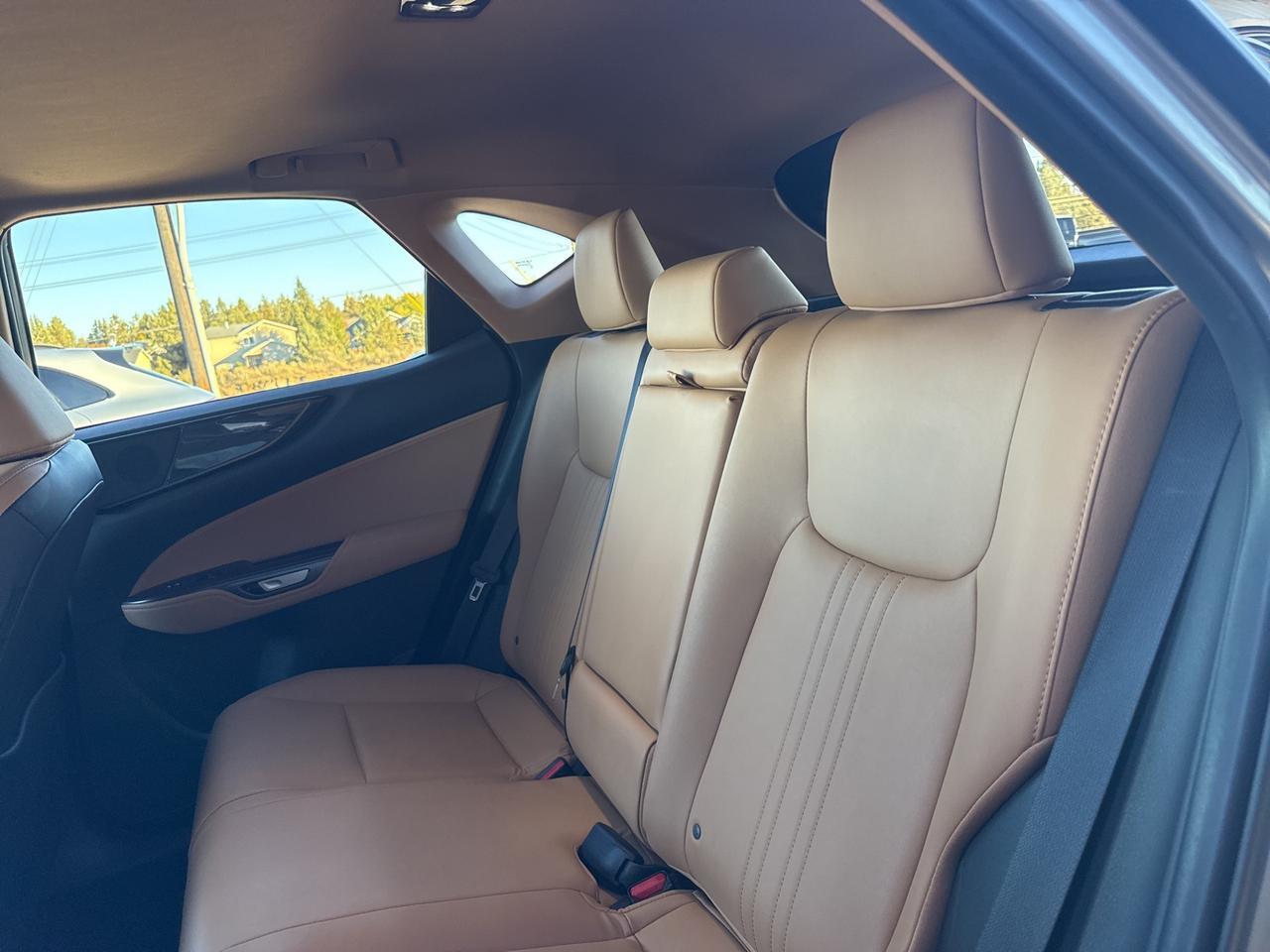 2025 Lexus NX 350h Premium Bend OR