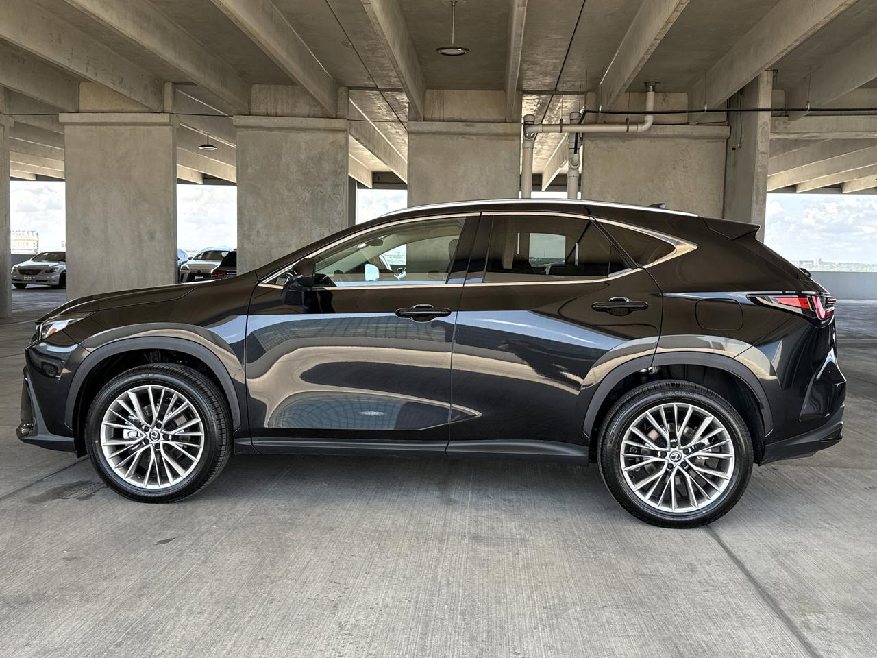 2025 Lexus NX 350h Premium