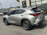 2025 Lexus NX 350h Premium San Diego County CA