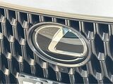 2025 Lexus NX 350h Premium San Diego County CA