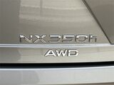 2025 Lexus NX 350h Premium San Diego County CA