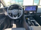 2025 Lexus NX 350h Premium San Diego County CA