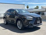 2025 Lexus NX 350h Premium San Diego County CA