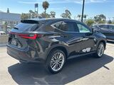 2025 Lexus NX 350h Premium San Diego County CA