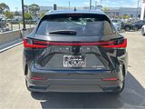 2025 Lexus NX 350h Premium San Diego County CA