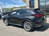 2025 Lexus NX 350h Premium San Diego County CA