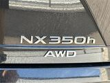 2025 Lexus NX 350h Premium San Diego County CA