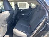 2025 Lexus NX 350h Premium San Diego County CA