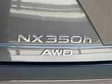 2025 Lexus NX 350h Premium San Diego County CA