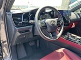 2025 Lexus NX 350h Premium San Diego County CA