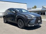 2025 Lexus NX 350h Premium San Diego County CA
