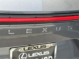 2025 Lexus NX 350h Premium San Diego County CA