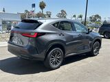 2025 Lexus NX 350h Premium San Diego County CA