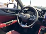 2025 Lexus NX 350h Premium San Diego County CA
