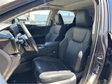 2025 Lexus NX 350h Premium San Diego County CA