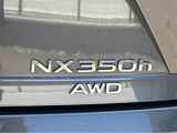 2025 Lexus NX 350h Premium San Diego County CA