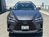 2025 Lexus NX 350h Premium San Diego County CA