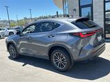 2025 Lexus NX 350h Premium San Diego County CA