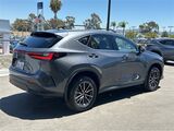 2025 Lexus NX 350h Premium San Diego County CA