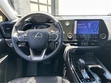 2025 Lexus NX 350h Premium San Diego County CA