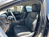2025 Lexus NX 350h Premium San Diego County CA