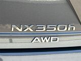 2025 Lexus NX 350h Premium San Diego County CA
