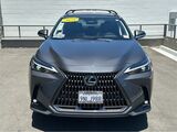2025 Lexus NX 350h Premium San Diego County CA