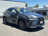 2025 Lexus NX 350h Premium San Diego County CA