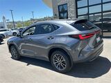 2025 Lexus NX 350h Premium San Diego County CA