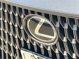 2025 Lexus NX 350h Premium San Diego County CA