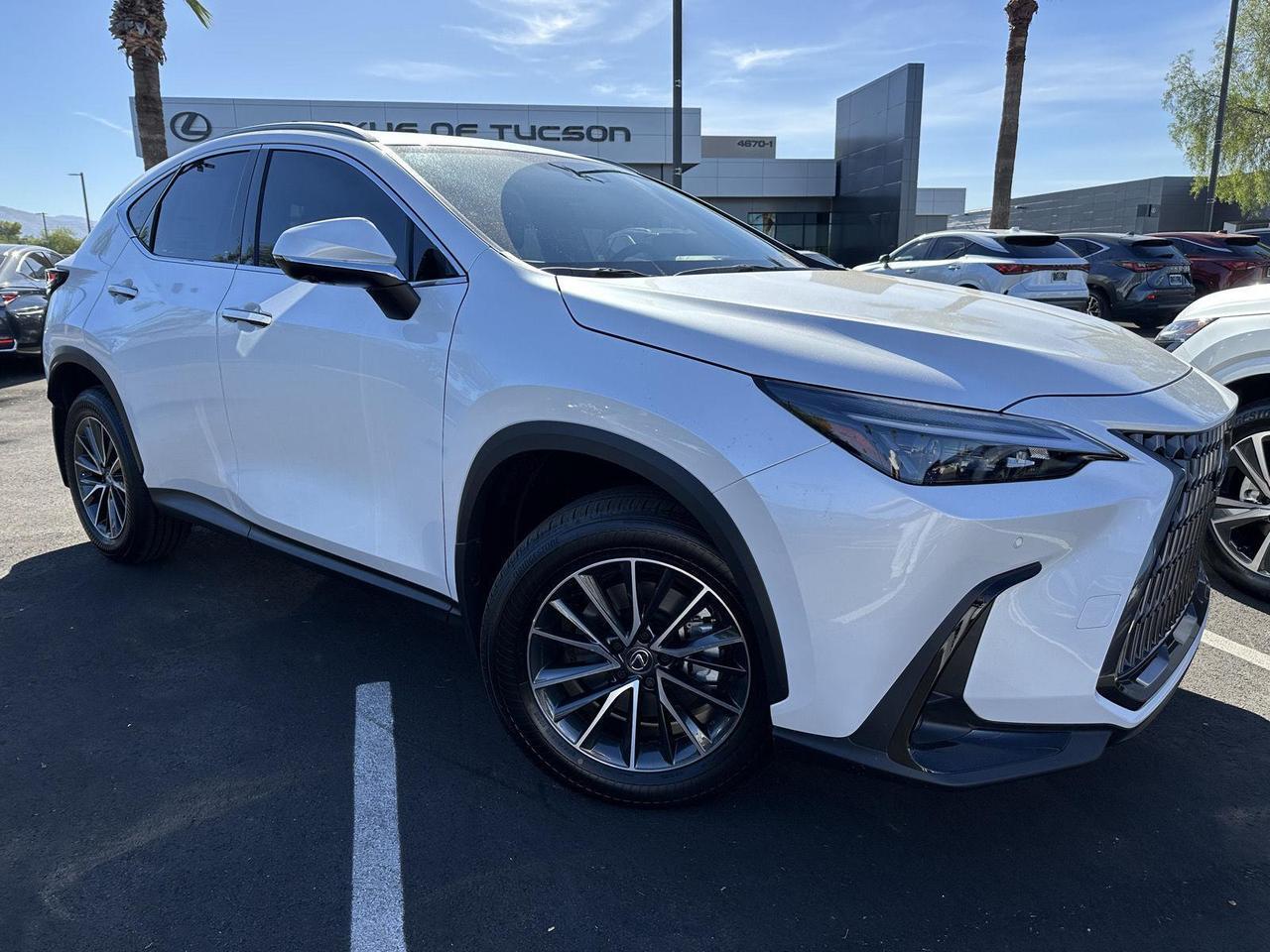 2025 Lexus NX 350h Premium Tucson AZ