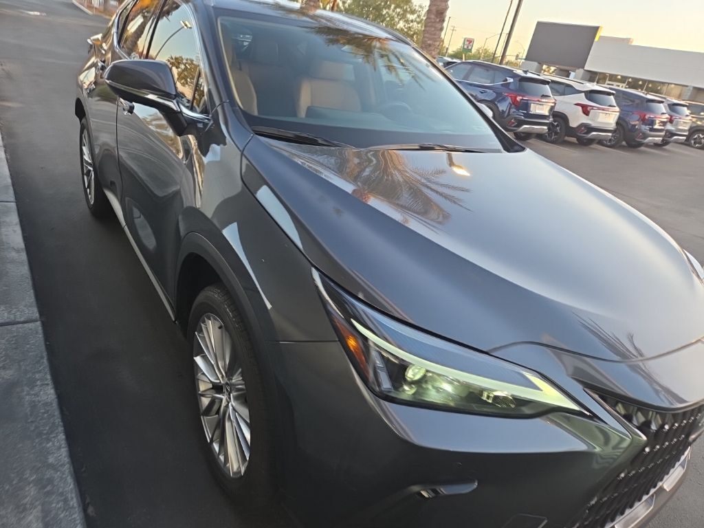 2025 Lexus NX 350h Premium