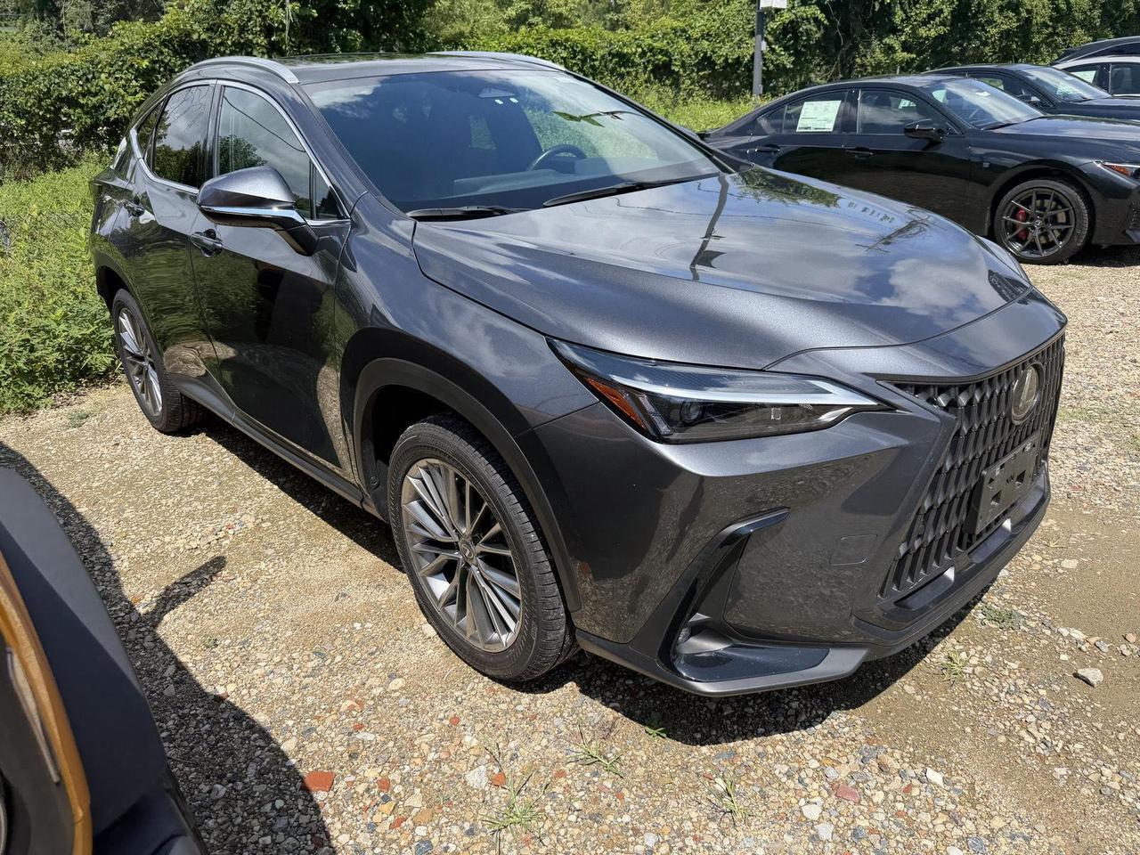 2025 Lexus NX 350h Premium
