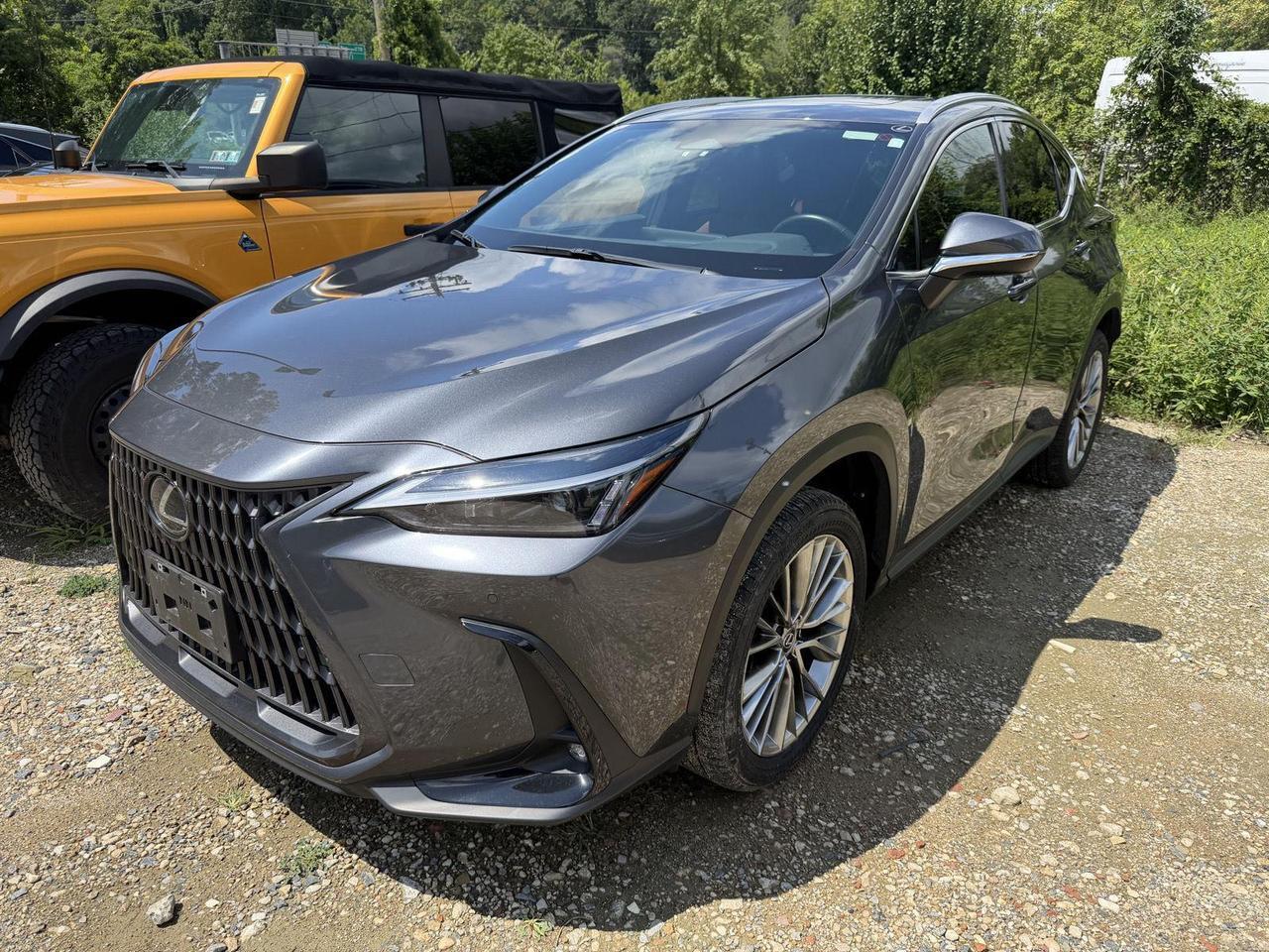 2025 Lexus NX 350h Premium Annapolis MD