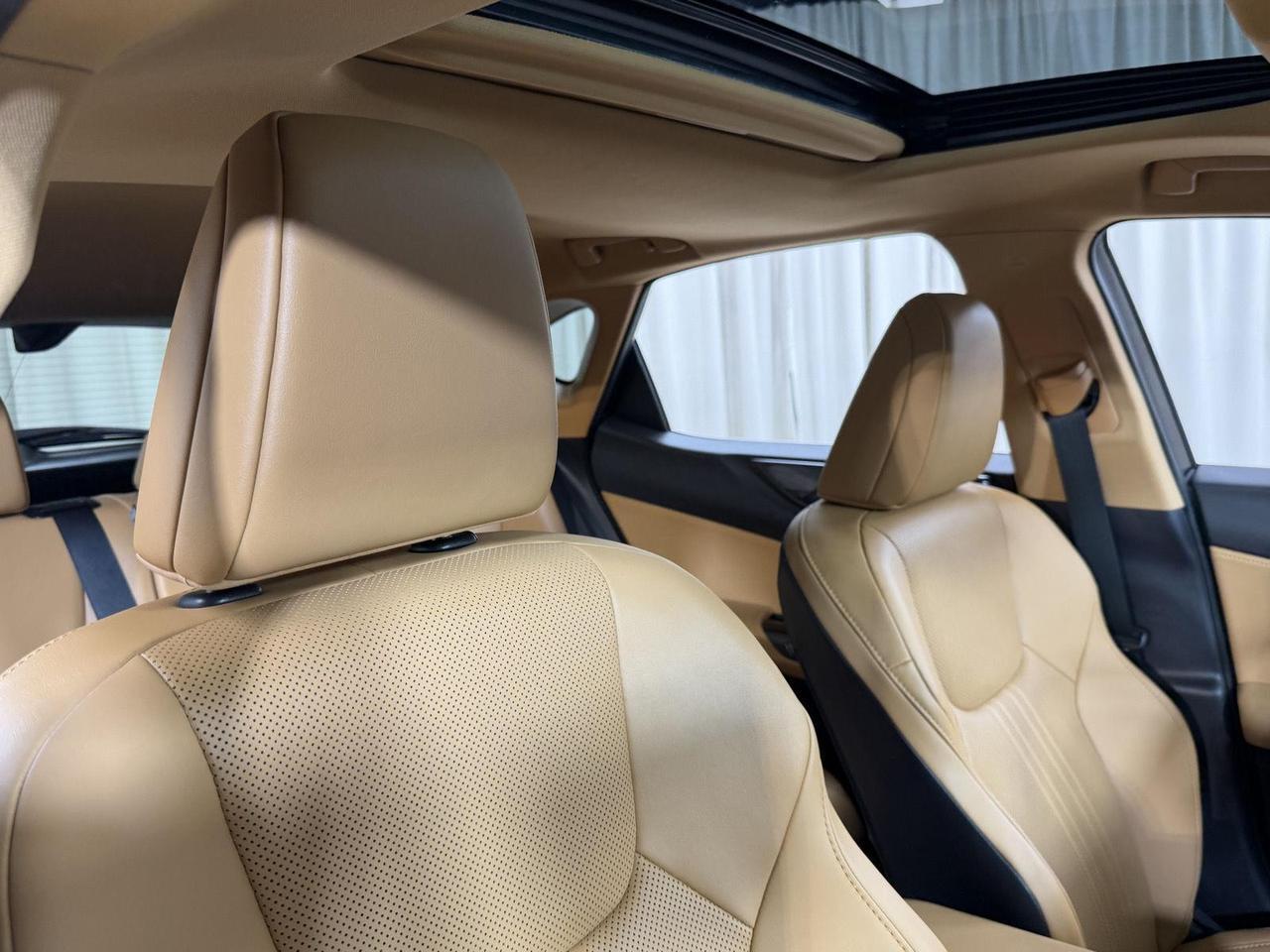 2025 Lexus NX 350h Premium Annapolis MD