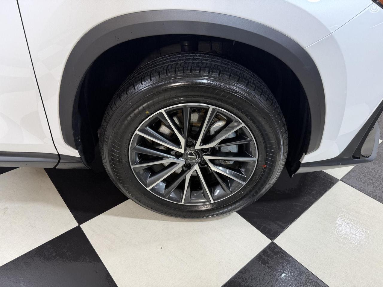2025 Lexus NX 350h Premium Annapolis MD